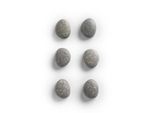 Zeller 11219 6 Zeller Stone Magnete Grau 2,1 X 1,8 X 1,0 Cm