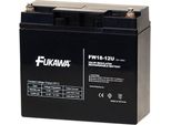 Batteria Al Piombo Fukawa Fw 18-12 U Per Ups Apc/ 12V/ 18Ah/ Durata 5 Anni/ Filettatura M5