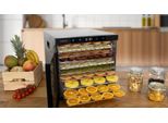 Salente Quickdry, Essiccatore Di Frutta, Acciaio Inox, 10 Vassoi Di Essiccazione In Acciaio Inox