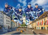 Eurographics Puzzle Straubing Tigers 1000 DíLků