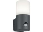 Trio-Leuchten Hoosic Applique Bh 8,50X17,50 Cm Grigio Lampada Da Parete