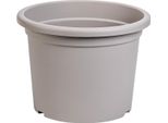 Confezione Plastia Daffodil - Taupe 31 Cm