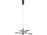 Italux Kresyda Led Lampada A Sospensione Moderna Bronzo AD16014-6B Caffe' Scuro