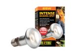 Lampadina Terrario Intense Basking Spot 25W Exoterra