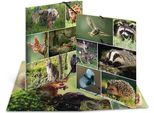Herma 19451 Cartella Angolare Herma "Animali Della Foresta"", Cartone, Din A3"
