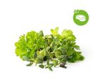 Click & Grow Click & Grow Plant Pod Steak Mix 9Pcs