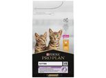 Purina Pro Plan Cat Kitten Healthy Start 1,5 Kg