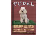 Vianmo Insegna Di Latta 40X30 Cm Pudel Hochintelligent Lieb Hund