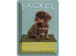 Vianmo Insegna Di Latta 40X30 Cm Dackel Hund Lebhaft Mutig Stur