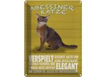 Vianmo Insegna Di Latta 40X30 Cm Abyssinian Katze Verspielt