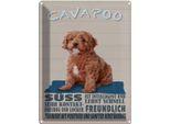 Vianmo Insegna Di Latta 40X30 Cm Cavapoo Hund SüSs Freundlich