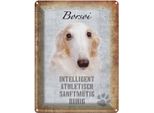Vianmo Insegna Di Latta 40X30 Cm Borsoi Hund Athletisch