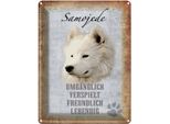 Vianmo Insegna Di Latta 40X30 Cm Samojede Hund