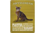 Vianmo Insegna Di Latta 40X30 Cm Abyssinian Katze Playful Elegant