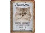 Vianmo Insegna Di Latta 40X30 Cm Perserkatze Katze HüBsch