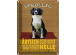 Vianmo Insegna Di Latta 40X30 Cm Sprollie Hund ZäRtlich Und Treu