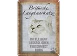 Vianmo Insegna Di Latta 40X30 Cm Britische Langhaarkatze