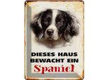 Vianmo Insegna Di Latta 40X30 Cm Hund Dieses Haus Bewacht Ein Spaniel