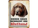 Vianmo Insegna Di Latta 40X30 Cm Hund Dieses Haus Bewacht Ein Bluthund