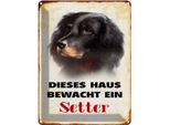 Vianmo Insegna Di Latta 40X30 Cm Hund Dieses Haus Bewacht Ein Setter