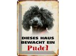 Vianmo Insegna Di Latta 40X30 Cm Hund Dieses Haus Bewacht Ein Pudel
