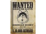 Vianmo Insegna Di Latta 40X30 Cm Hund Wanted Siberian Husky