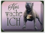 Vianmo Insegna Di Latta 30X40 Cm Hund Pit Bull Terrier Hier Wache Ich