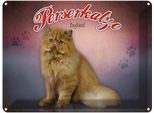 Vianmo Insegna Di Latta 30X40 Cm Katze Perserkatze England