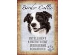 Vianmo Insegna In Legno 40X30 Cm Border Collie Hund