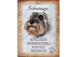 Vianmo Insegna In Legno 40X30 Cm Schnauzer Hund