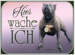 Vianmo Insegna In Legno 30X40 Cm Hund Pit Bull Terrier Hier Wache Ich