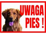 Attenzione Cane Retriever 250X175 Targhetta In Pvc Con Cartello Informativo Di Avvertimento