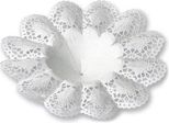 Polsini Biedermeier Per Bouquet 16Cm 25 Pezzi - Composizioni Floreali E Decorazioni Carta Bianca