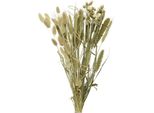 Fiori Secchi Bouquet Di Fiori Ed Erbe Miste 45Cm Verde Naturale 1 Mazzo