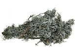 Ramoscelli Decorativi Quercia Muschio Lichene Natura 750G Muschio Decorazione Da Tavola