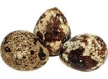 Uova Di Quaglia Decorazione Natura Soffiato Fuori Reale 50 Pezzi