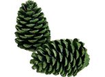 Maritima Pigne Verdi Smerigliate 10-16Cm 12 Pz - Decorazioni Natalizie, Decorazioni Naturali