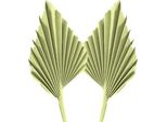 Decorazione A Forma Di Lancia Di Palma Essiccata In Verde Mela Lavata - Foglie Di Palma Naturali Per La Decorazione Floreale E Domestica, 65 Pezzi