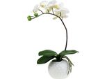 Phalaenopsis Crema Orchidea Artificiale In Vaso Di Ceramica 33 Cm Pianta Decorativa Fiori Regali