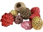 Coni Di Leucadendro Decorazione Bellgum Verde Rosso Giallo Smerigliato 300G - Per Composizioni Floreali E Floreali Funebri