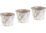 Vaso Con Corteccia Di Betulla Imbiancata Per Piante Ø15Cm H12,5Cm Set Di 3 Decorazioni Natalizie Shabby Vintage