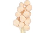 Fiori Secchi Decorativi Craspedia Per Composizioni Versatili, 20 Pezzi