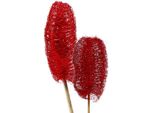 Luffa Grande Con Gambo Rosso 25 Pezzi - Fiori Artificiali Decorativi Fiori Funebri Decorazioni Funerarie, 25 Pezzi