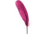 Piume D'oca Decorative Piume D'oca Bordeaux Forniture Artigianali 40G