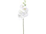 Orchidea Artificiale Phalaenopsis Bianca 85 Cm Decorazione Dal Tocco Reale