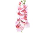 Orchidea Phalaenopsis Fiore Artificiale Rosa Bianco 96Cm 9 Fiori Decorazione