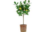 Albero Di Limone Artificiale In Vaso Decorazione Per Un Ambiente Mediterraneo