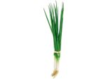 Cipollotti Artificiali Decorativi, Set Da 4, Effetto Realistico, 30 Cm, 4 Pezzi