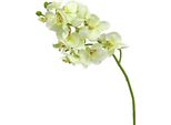 Orchidea Artificiale Verde Chiaro 56 Cm - Set Di 6 Composizioni Floreali Decorative Per Decorazioni Da Tavola E Arredamento D'interni, 6 Pezzi