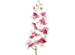 Phalaenopsis Orchidea Artificiale Bianca Fucsia 9 Fiori 96Cm
